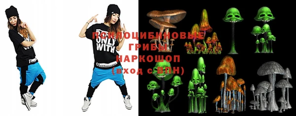 ECSTASY Каменка