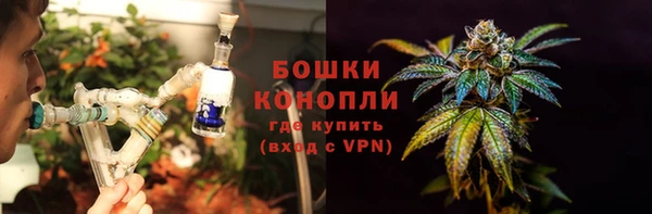 спайс Инта