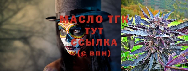гидра Инсар
